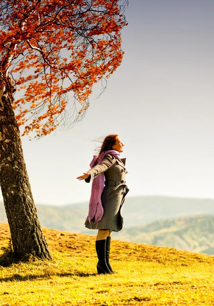 Otoño — Foto de Stock