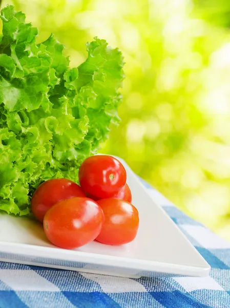 Tomates — Foto de Stock