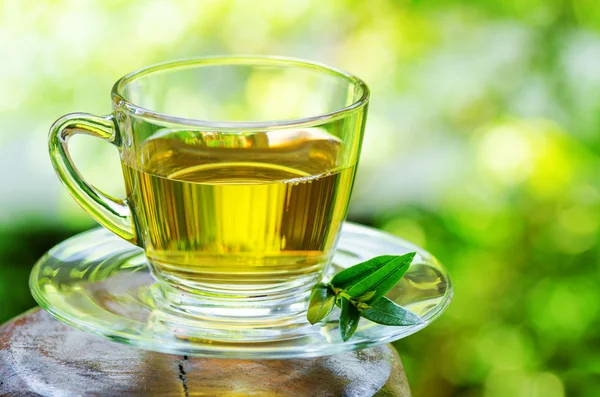 Cup of tea — Stock Photo, Image