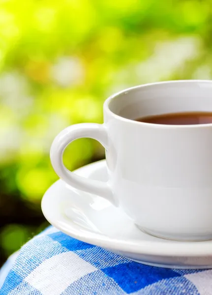 Taza de té sobre fondo natural —  Fotos de Stock