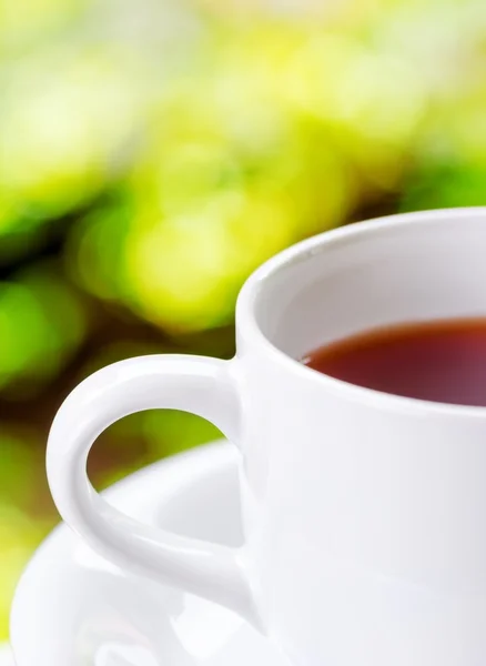 Taza de té sobre fondo natural —  Fotos de Stock