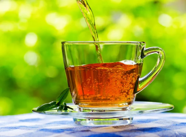 Taza de té sobre fondo natural —  Fotos de Stock