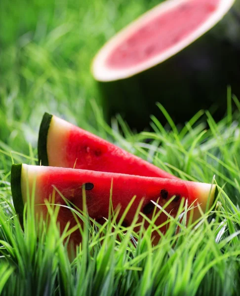 Ripe watermelon on green grass — Stock Photo, Image