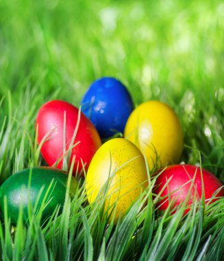 Yeşil çimlerde paskalya yumurtaları