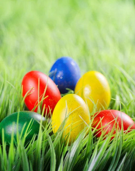 Easter eggs on green grass — Stock Photo, Image