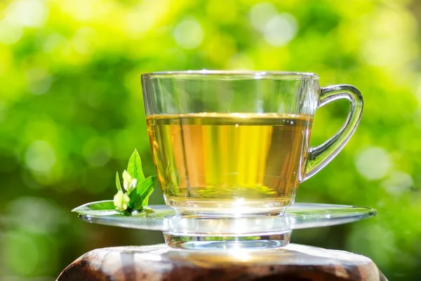 Cup of tea — Stock Photo, Image