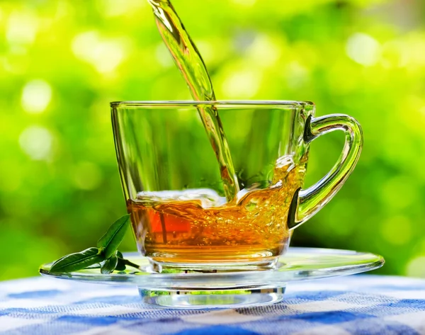 Tasse Tee auf Natur Hintergrund — Stockfoto