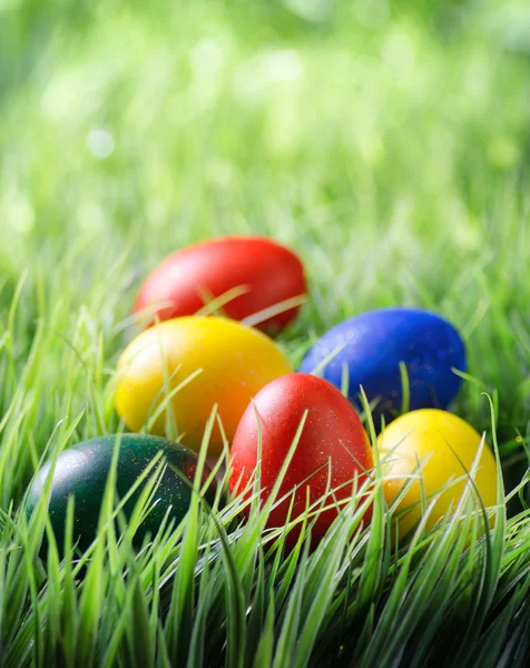 Easter eggs on green grass — Stock Photo, Image