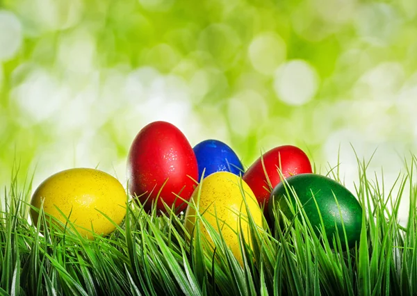 Easter eggs on green grass — Stock Photo, Image