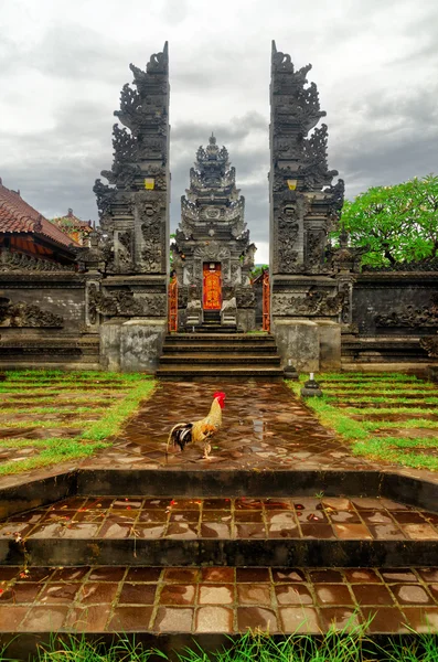 Bali — Stock Photo, Image