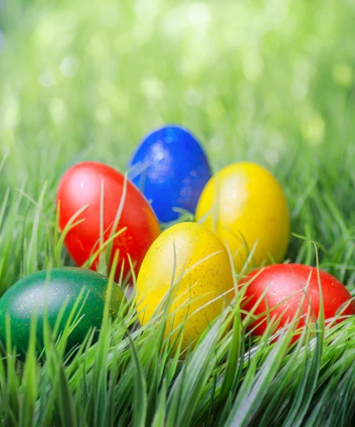 Easter eggs on green grass — Stock Photo, Image