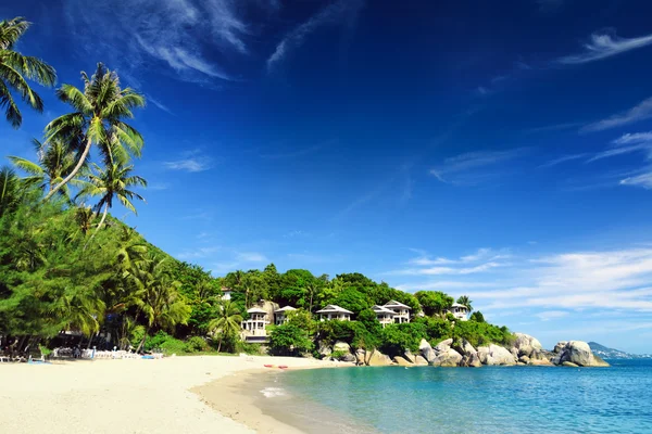 Bela paisagem tropical. Samui Island, Tailândia — Fotografia de Stock