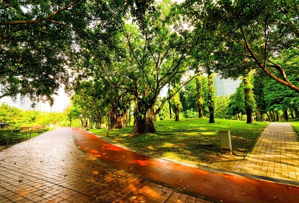 Parque — Fotografia de Stock