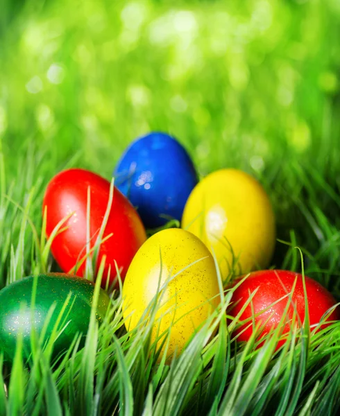 Easter eggs on green grass — Stock Photo, Image