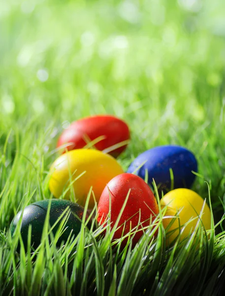 Huevos de Pascua sobre hierba verde —  Fotos de Stock