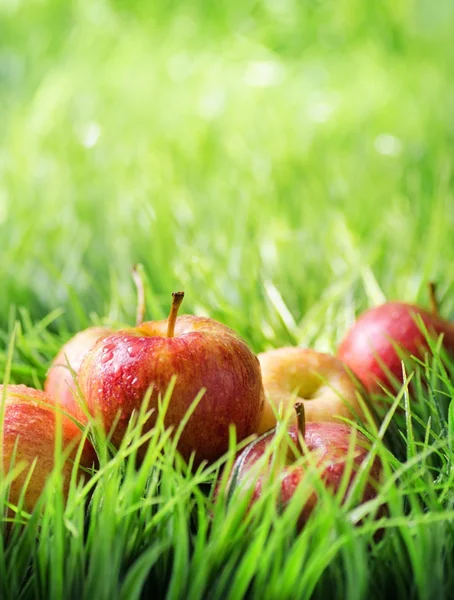 在绿色草地上的红苹果 — 图库照片
