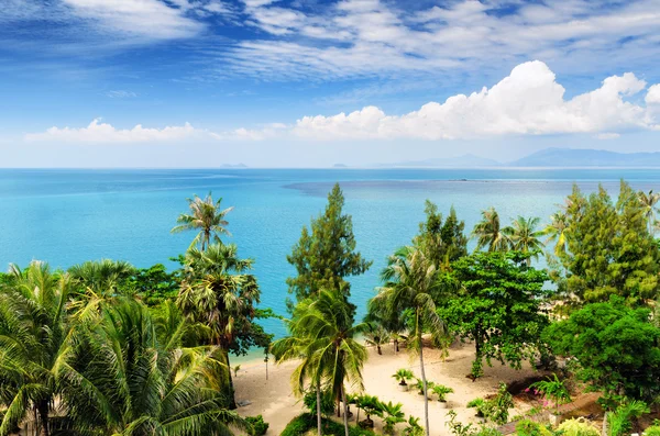 Bela paisagem tropical. Samui Island, Tailândia — Fotografia de Stock