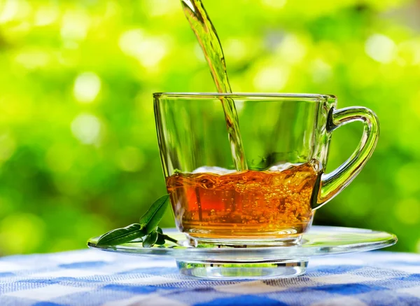 Cup of tea on nature background — Stock Photo, Image