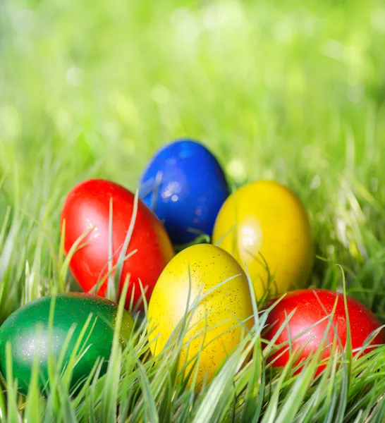 Easter eggs on green grass — Stock Photo, Image