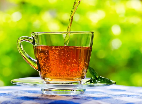 Tasse Tee auf Natur Hintergrund — Stockfoto