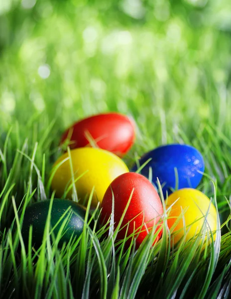 Velikonoční vajíčka na zelené trávě — Stock fotografie