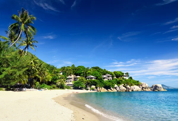 Bela paisagem tropical. Samui Island, Tailândia — Fotografia de Stock