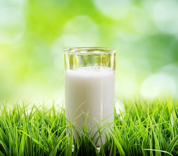 Glass of milk on nature background — Stock Photo, Image