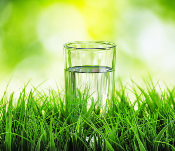 Glass of water on nature background