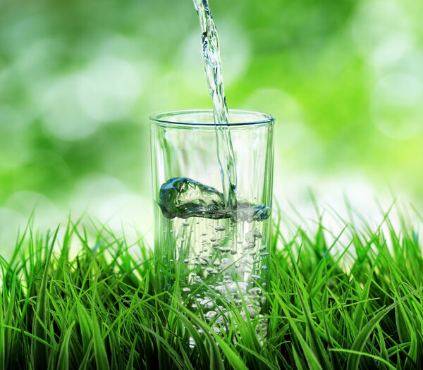 Glass of water on nature background