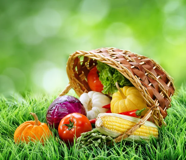 Frisches Gemüse im Korb auf grünem Gras. — Stockfoto