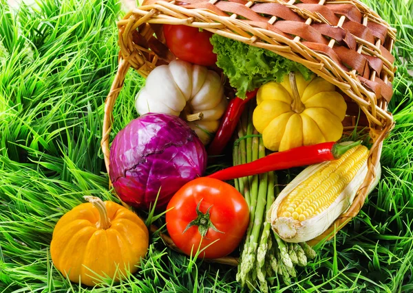 Légumes frais dans le panier sur herbe verte . — Photo