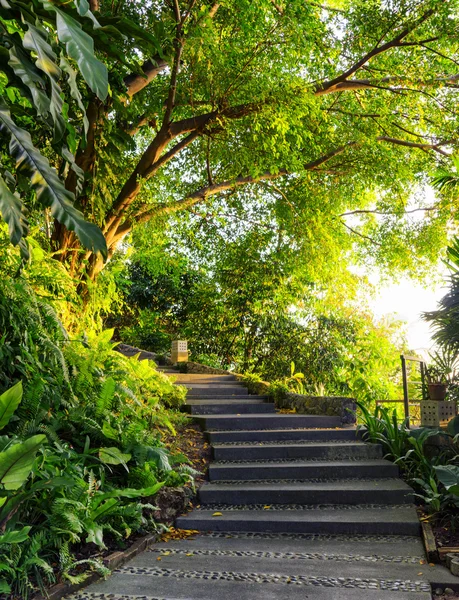 Weg in bos bij zonsondergang — Stockfoto