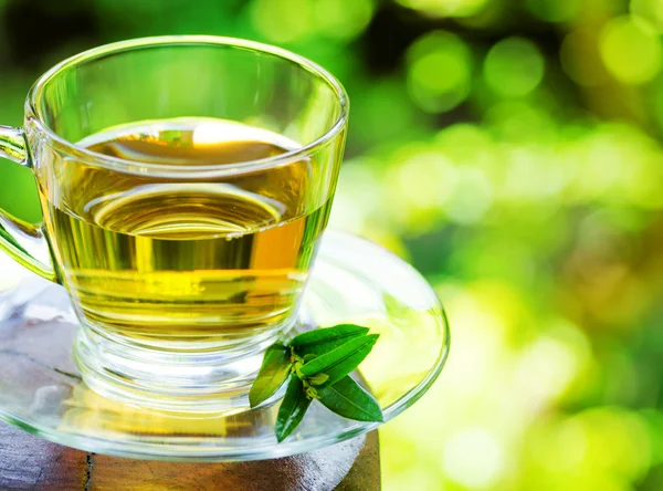 Cup of tea — Stock Photo, Image