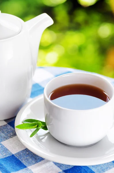 Tasse Tee auf Natur Hintergrund — Stockfoto