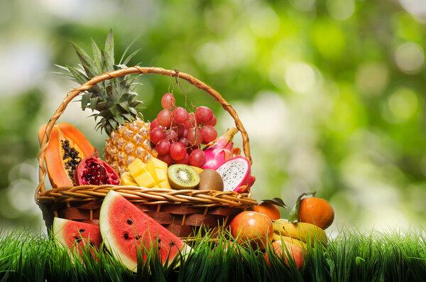 Basket of tropical fruits on green grass