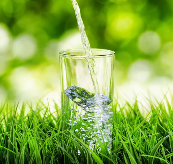 Vaso de agua sobre fondo natural — Foto de Stock