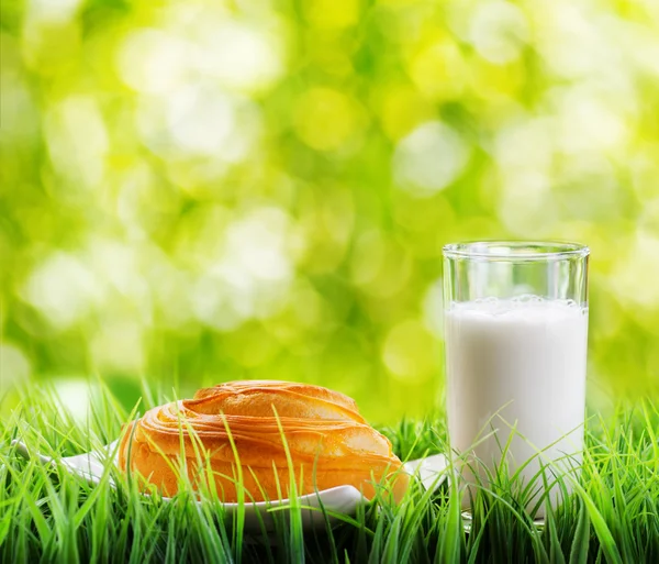 Fresh cinnamon bun and glass of milk on nature background — Stock Photo, Image