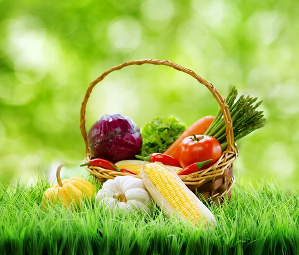 Frisches Gemüse im Korb auf grünem Gras. — Stockfoto