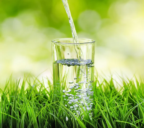 Bicchiere d'acqua sullo sfondo della natura Foto Stock