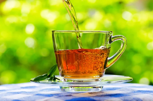 Tazza di tè su sfondo naturale — Foto Stock