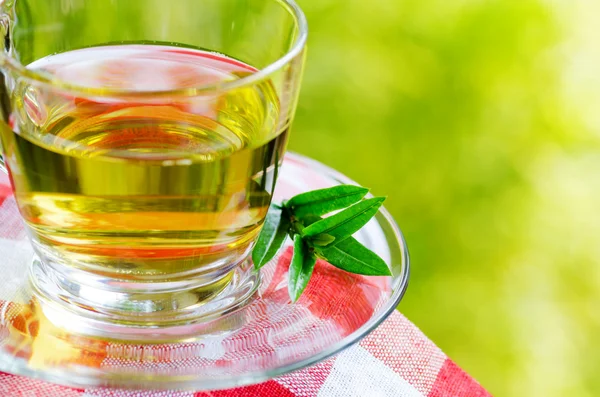 Cup of tea — Stock Photo, Image