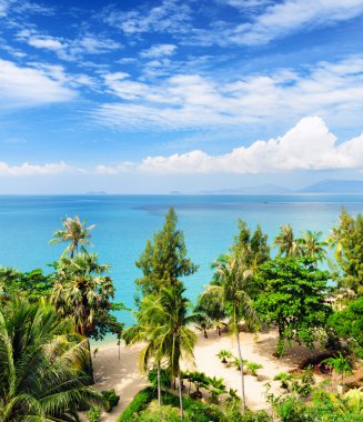 güzel tropikal peyzaj. Samui Adası, Tayland