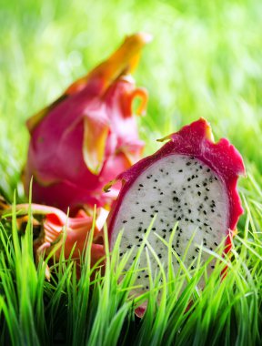 Yeşil çimenlerin üzerinde olgunlaşmış dragon meyve