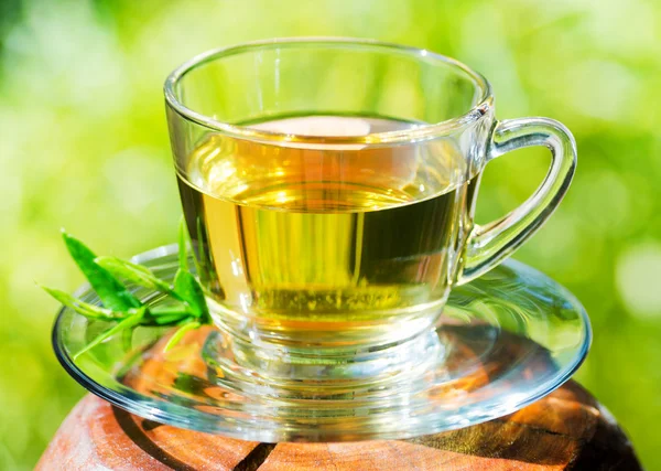 Cuo of tea — Stock Photo, Image