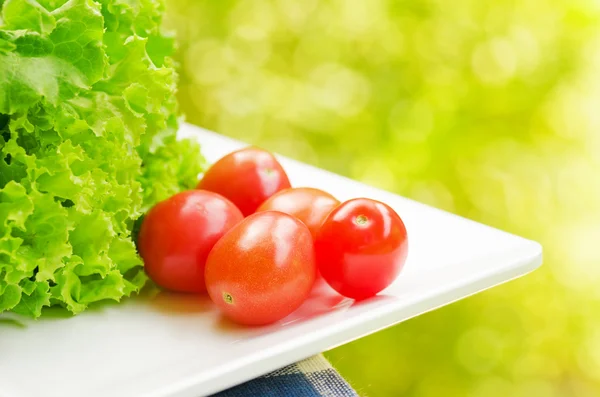 Tomatoes — Stock Photo, Image