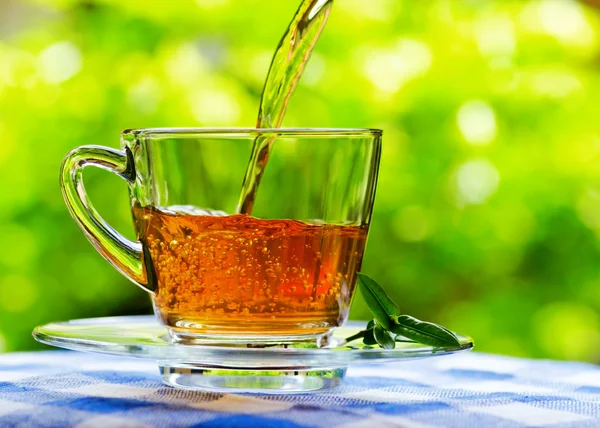 Xícara de chá no fundo da natureza — Fotografia de Stock