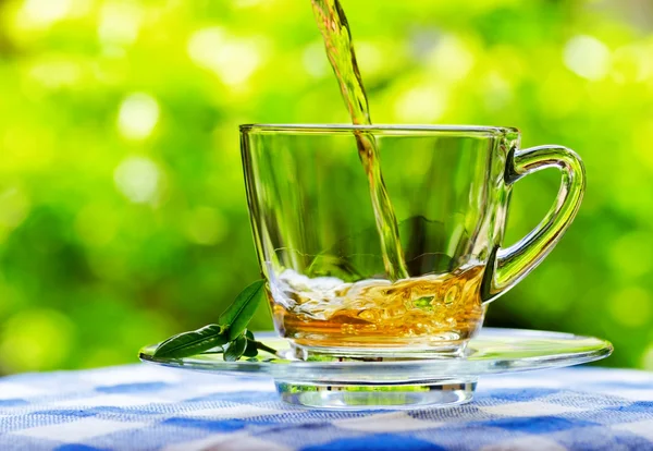 Tasse Tee auf Natur Hintergrund — Stockfoto