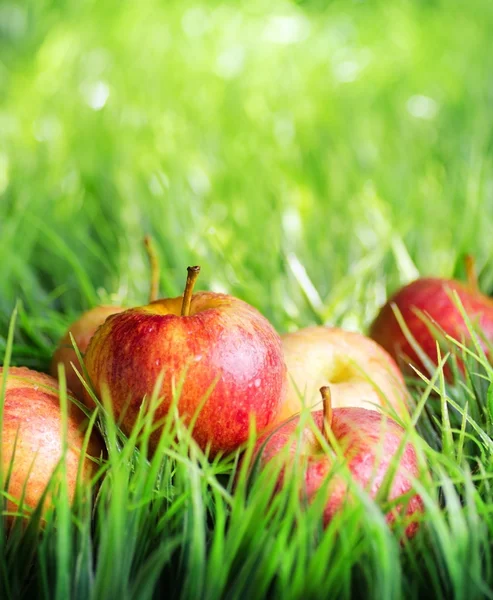 Red apples on green grass — Stock Photo, Image