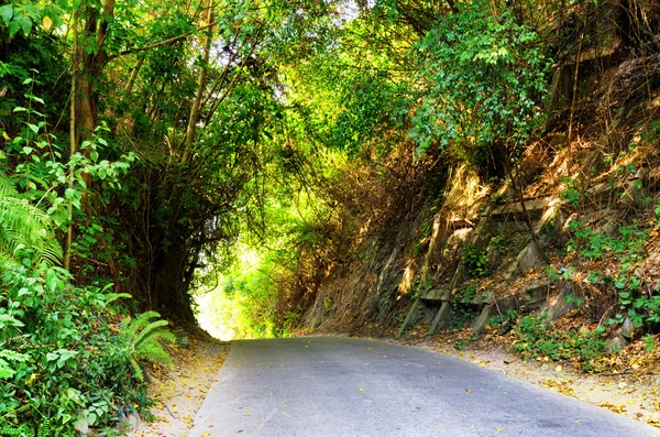 Camino en el bosque al atardecer —  Fotos de Stock