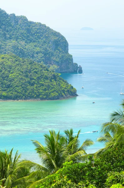 Paisaje tropical. Isla Phi-phi, Tailandia —  Fotos de Stock